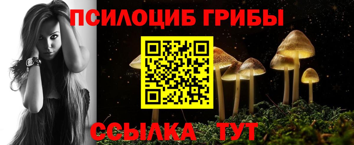 Набережные Челны  Псилоцибиновые грибы Psilocybine cubensis  хочу наркоту  Галлюциногенные грибы Magic Shrooms  Вход с VPN 